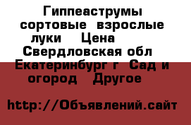 Гиппеаструмы сортовые, взрослые луки. › Цена ­ 650 - Свердловская обл., Екатеринбург г. Сад и огород » Другое   